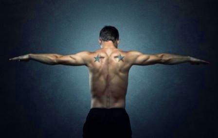 Основные мышцы спины